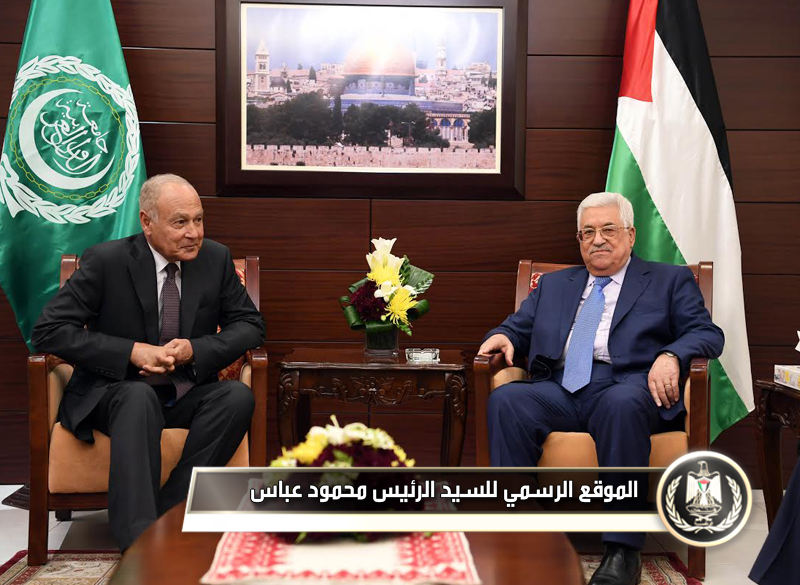 السـيد الـرئيس يستقبل الأمين العام 
لجامعة الدول العربية أحمد أبو 
الغيط.